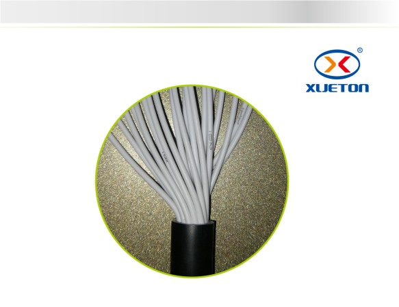 黑擠電源線(xiàn)RVV 20X0.5mm